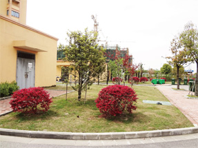 紫霞花园景观绿化工程