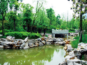 吴江鲈乡南路（云龙路-南刘路）景观绿化工程B标段