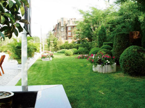 吴江科创园清华大学汽车产业园景观绿化工程