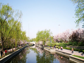 苏州尹山路两段西侧绿化工程