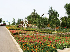 沭阳县韩山新城韩山路绿化工程