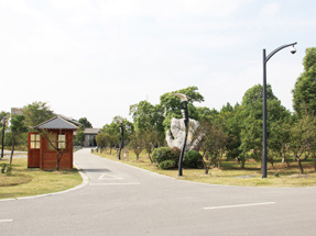 昆承湖景区绿化工程