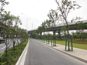 常熟南三环高架绿化工程