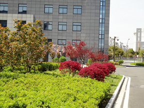 常熟海关绿化景观工程