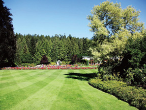 常熟滨江城市森林公园绿化景观工程