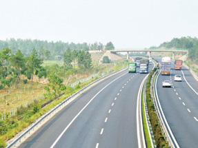 S338道路绿化工程（景观、绿化）四标段